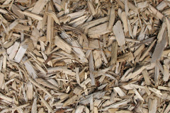 biomass boilers Trecynon